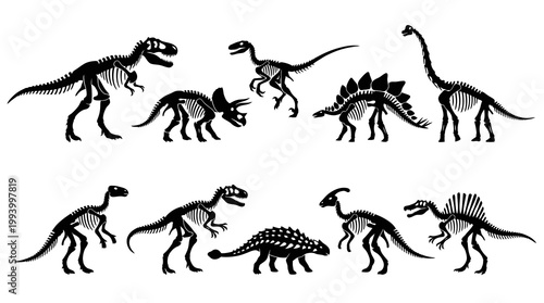 Dinosaur Skeletons Silhouettes - Educational Vector Art