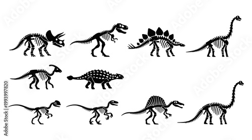 Dinosaur Skeletons and Silhouettes Black and White Vector Glyphs Set for Paleontology