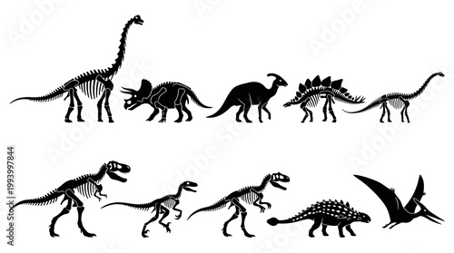 Dinosaur Skeletons Silhouettes, Fossil Animals, Science Education Icons