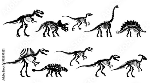 Paleontology Education Vector: Black  White Dinosaur Skeleton Glyphs Set