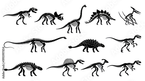 Dinosaur Skeletons Black  White Vector Art - Prehistoric Animals