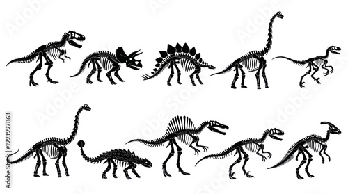 Dinosaur Skeletons Silhouette - Vector Set - Paleontology  Science