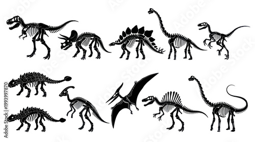 Black and White Dinosaur Skeletons Silhouettes Vector Art