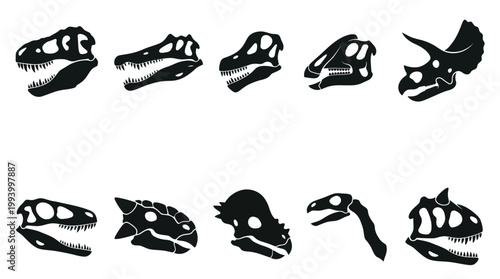 Dinosaur Skulls Glyph Set: Prehistoric Animal Skeletons - Paleontology Vector Icons