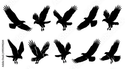 Set of Black Eagle Silhouettes in Flight, Vector Art
