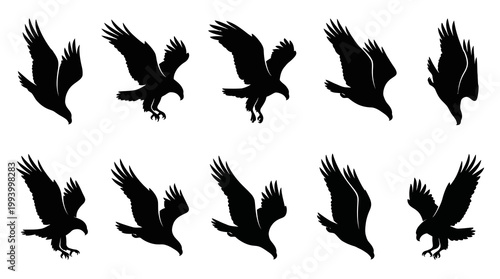 Dynamic Eagle Silhouettes Vector Set: Flying, Gliding, Landing Bird of Prey Illustrations