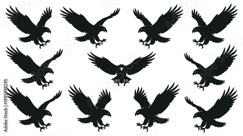 Majestic Flying Eagle Silhouettes Vector Graphic Set - Wildlife Birds of Prey Collection