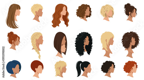 Flat Vector Diverse Women Hairstyles Profile Set - Beauty, Fashion  Avatar Collection