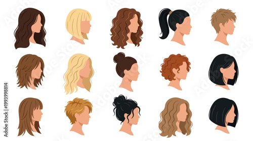 Flat Vector Beauty  Fashion: Diverse Women's Hairstyles, Haircuts and Hair Types in Profile View