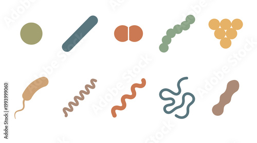 Medical Biology Flat Icons: Diverse Bacterial Shapes and Microorganism Forms
