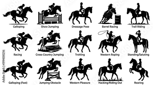 Equestrian Horse Riding Activities  Sports Silhouettes Glyphs Vector Icons