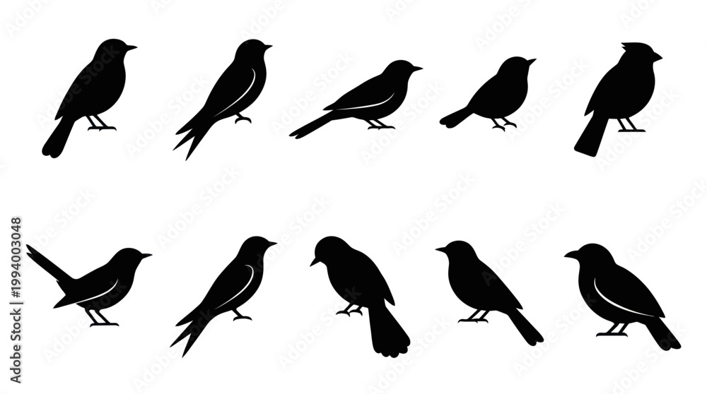 Obraz premium Black Bird Silhouettes Collection Vector Art