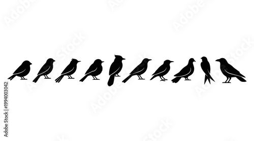 Diverse Black Bird Silhouettes Vector Set: Nature Wildlife Graphic Design Elements