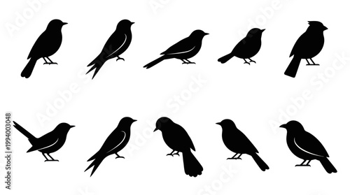 Black Bird Silhouettes Collection Vector Art