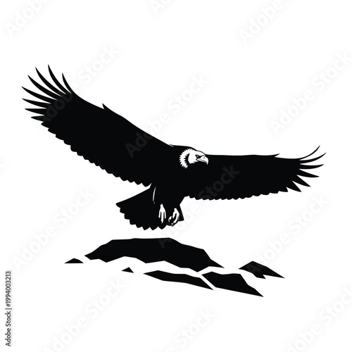 Bird of prey soaring over mountainous landscape