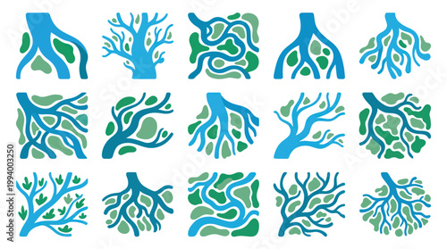 Flat Nature Tree Roots and Organic Branching Patterns Vector Set for Growth  Environment