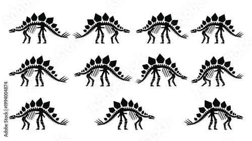 Black Stegosaurus Dinosaur Skeletons Paleontology Education Vector Icon Set