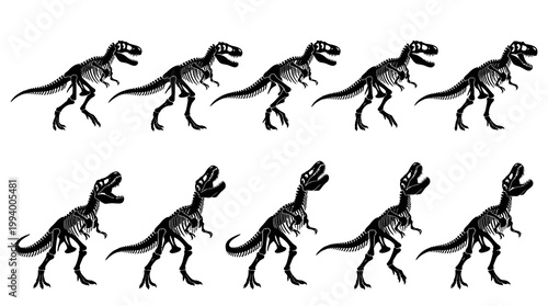 Black and White Dinosaur Skeletons on White Background