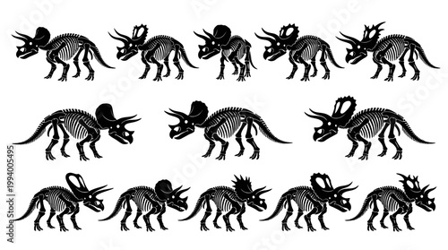 Paleontology Black Silhouette Vector Art: Triceratops Dinosaur Skeletons Set