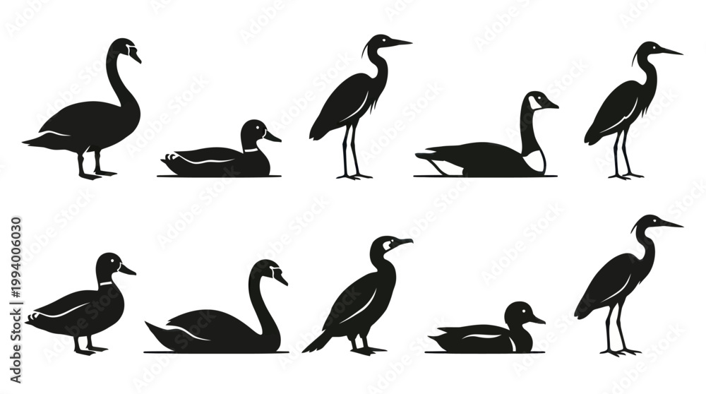 Fototapeta premium Black and White Silhouette of Various Waterfowl and Birds