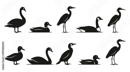 Black and White Silhouette of Various Waterfowl and Birds