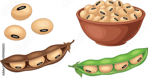 Soybeans in wooden bowl with pods and seeds isolated on white background, organic protein food vector illustration set