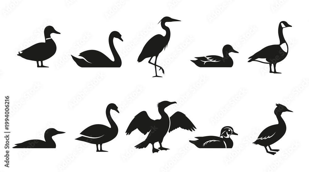 Fototapeta premium Black White Silhouette Icons of Various Birds on White Background