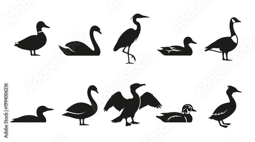 Black  White Silhouette Icons of Various Birds on White Background