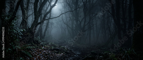 Dark Foggy Forest Path with Eerie Moonlight