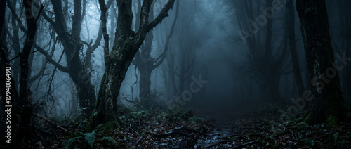 Dark Haunted Forest with Dense Blue Fog