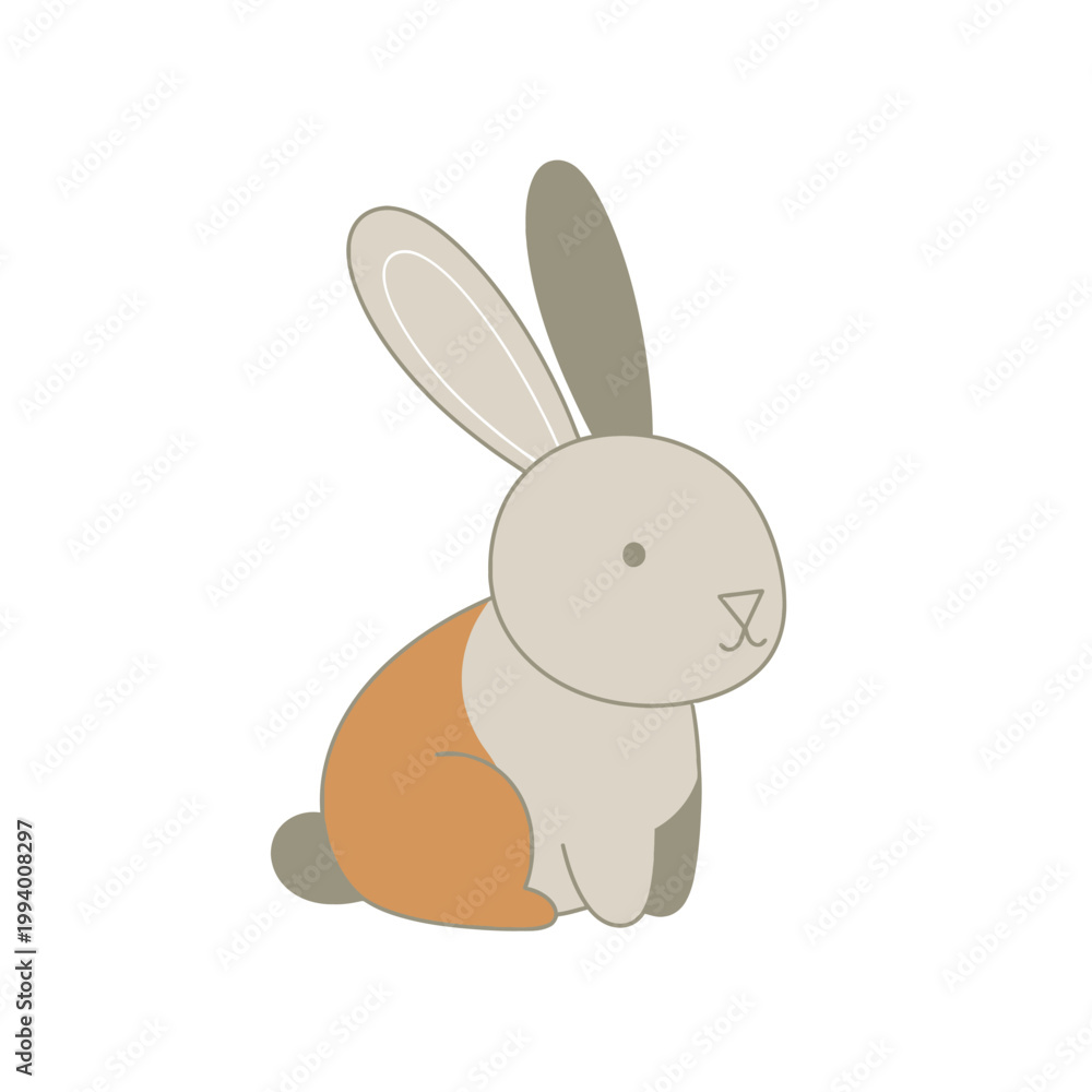 Fototapeta premium Cute Orange and White Rabbit Sitting.