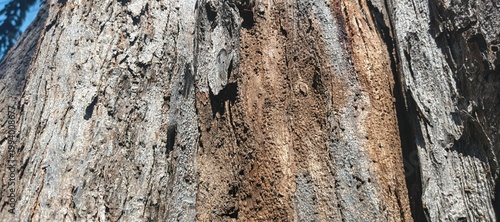 old stone wall