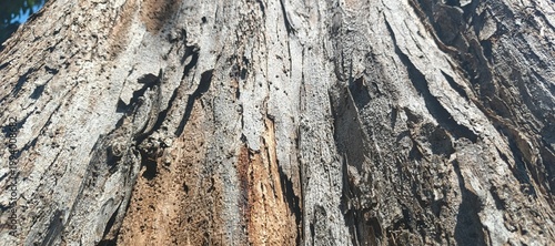 old stone wall