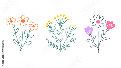 A minimalist illustration displays three distinct floral arrangements with varying colors and bloom types showcasing simple line art high quality professional detailed modern elegant stylish clean