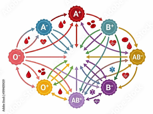 Modern flat 2D vector infographic illustration detailing human blood type compatibility for transfusions in healthcare and medicine