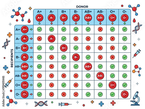 Essential Medical Blood Type Compatibility Infographic: Modern Flat Vector Chart Detailing Donor and Recipient Transfusion Matches.