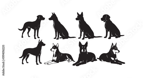 Variety of dog poses sitting standing resting in calm relaxed attentive positions loyal companions vector illustration.