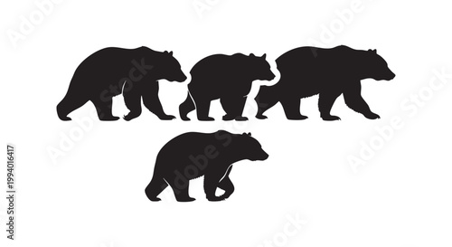 Wild grizzly bear silhouettes walking and standing group of forest animals in different poses isolated on white background.