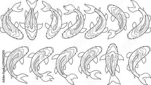 Collection of koi fish line art poses isolated on white background aquatic set