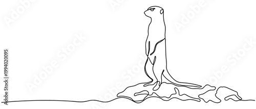 A meerkat standing with its neck held high. in Single continuous line drawing Editable stroke.