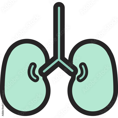 Mint green anatomical human lungs illustration, representing respiratory health, pulmonology, breathing wellness, lung capacity, oxygen therapy, and respiratory disease awareness.