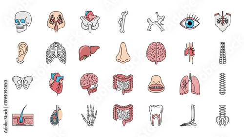 Comprehensive set of human anatomy icons, illustrating various organs, bones, and body parts for medical education.