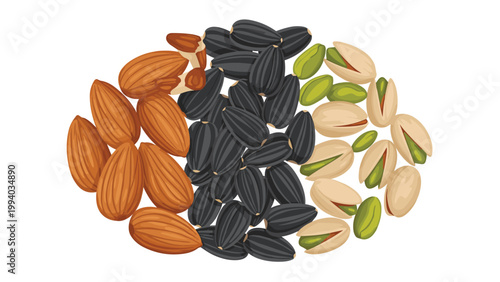 Visually appealing cartoon illustration displaying a diverse mix of healthy snacks, featuring piles of crunchy almonds, black sunflower seeds, and green pistachios, perfect for nutritional themes.