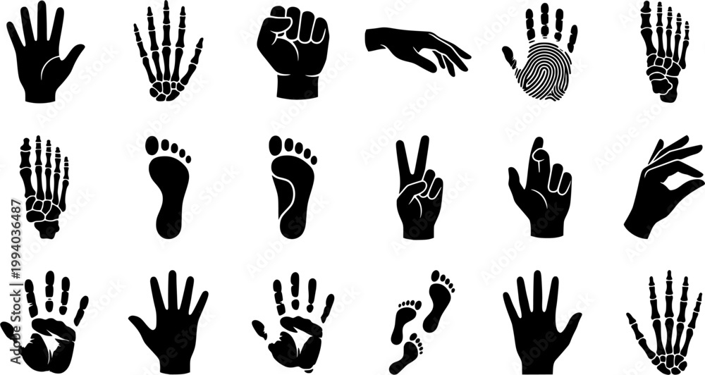 Fototapeta premium Vintage engraving set of human hands and feet featuring palm, fist, open hand, and footprints in a detailed woodcut etching style 