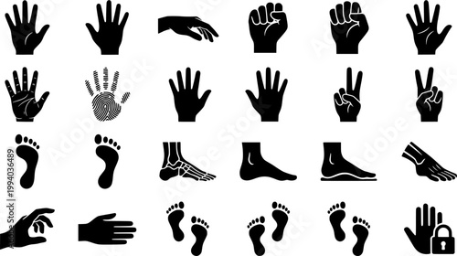 Vintage engraving set of human hands and feet featuring palm, fist, open hand, and footprints in a detailed woodcut etching style
