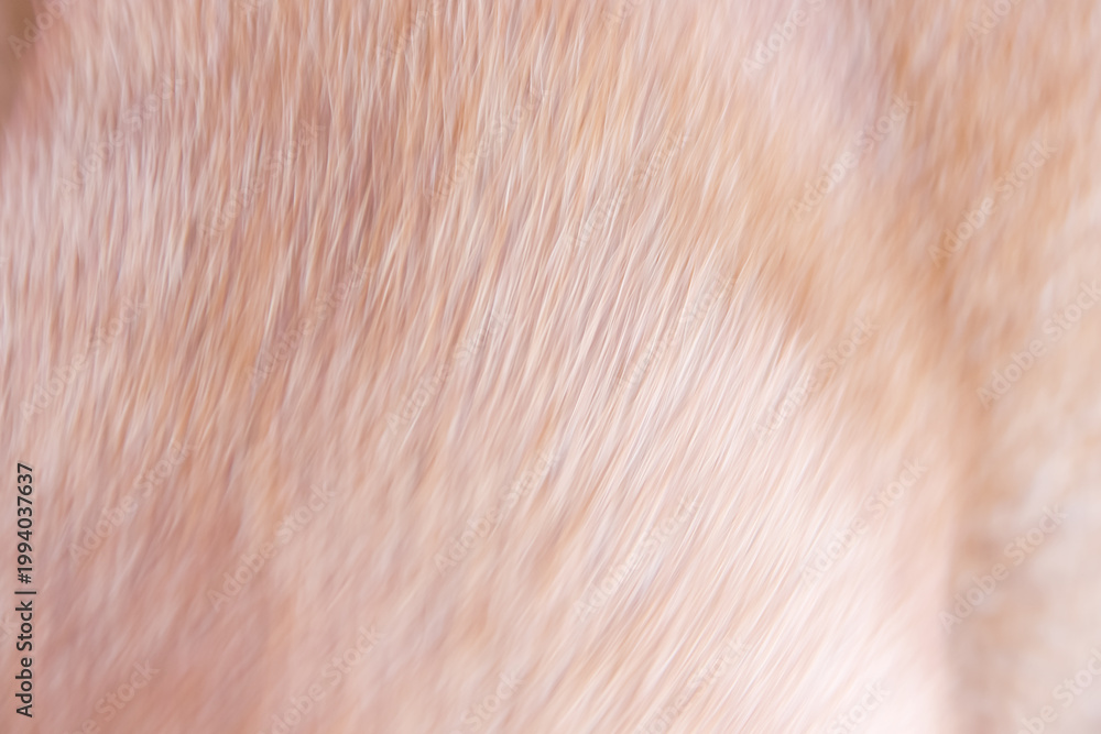 Fototapeta premium Blurred fur brown texture dog background