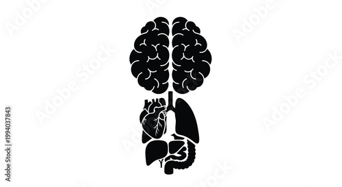 Black silhouette of a brain heart lungs liver and intestines