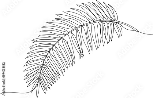 Minimalist Single Line Drawing of a Fern Frond.