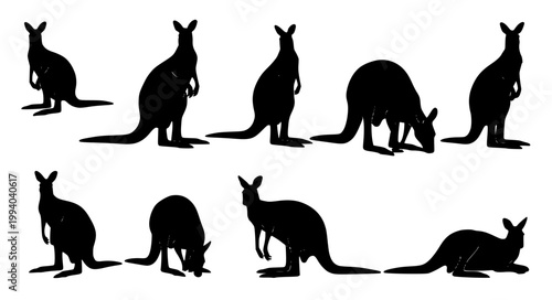 Kangaroo Silhouette Vertical Set Macropus Wildlife Animal Vector Illustration