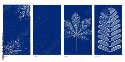 Cyanotype botanical prints displaying leaf variations across four panels